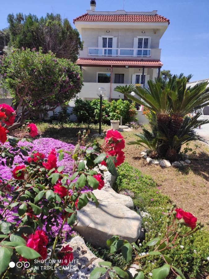 Apartamento Seagull - Front And Sea View & Airport
