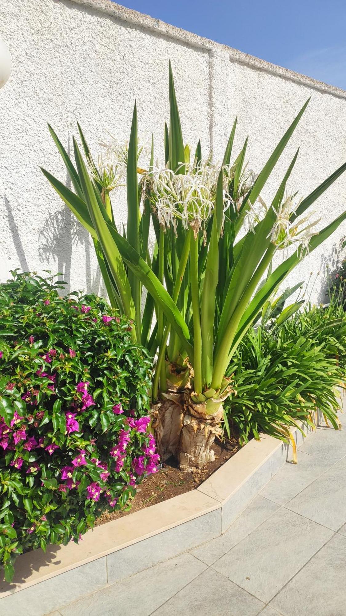Apartamento Seagull - Front And Sea View & Airport Bari